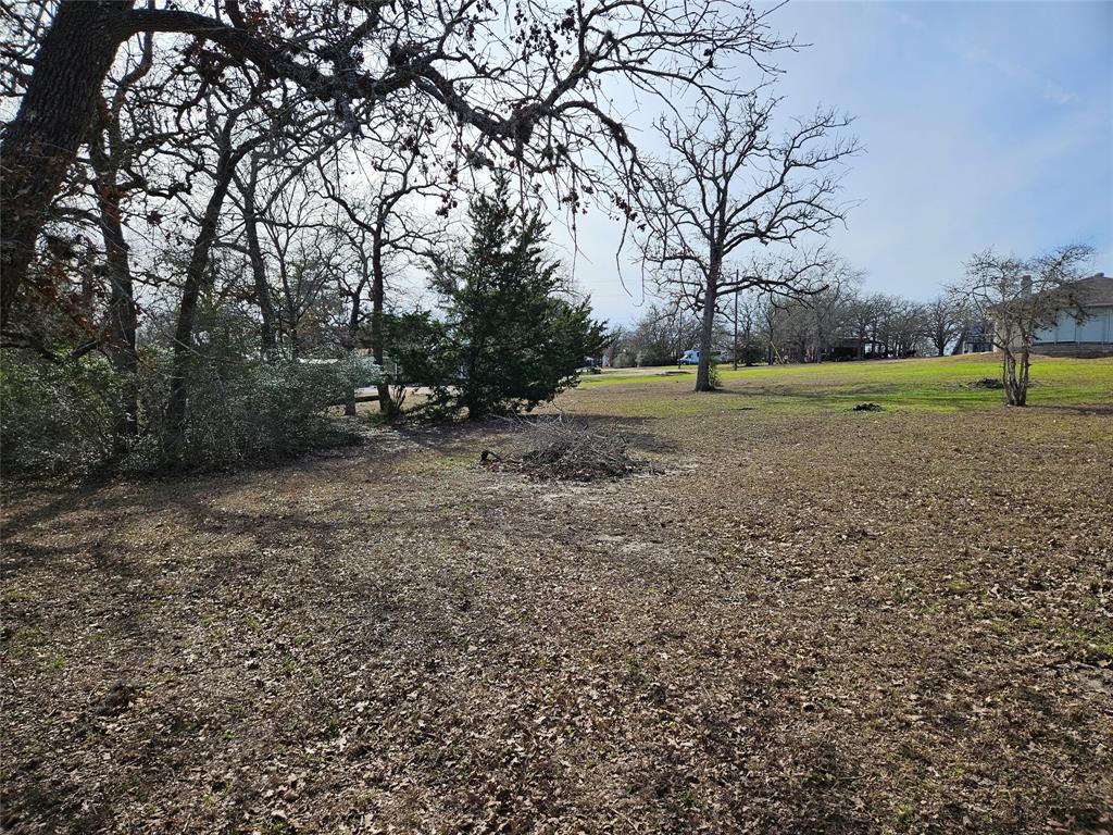 TBD Apache Drive Street  , Somerville, Texas image 13