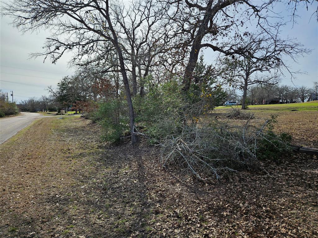 TBD Apache Drive Street  , Somerville, Texas image 14