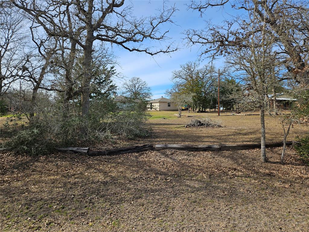 TBD Apache Drive Street  , Somerville, Texas image 16