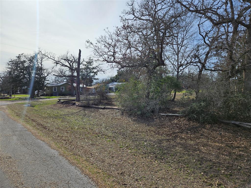 TBD Apache Drive Street  , Somerville, Texas image 17