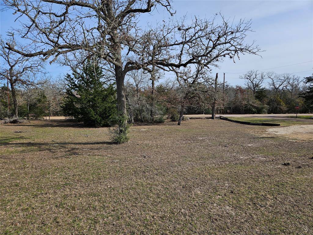 TBD Apache Drive Street  , Somerville, Texas image 5