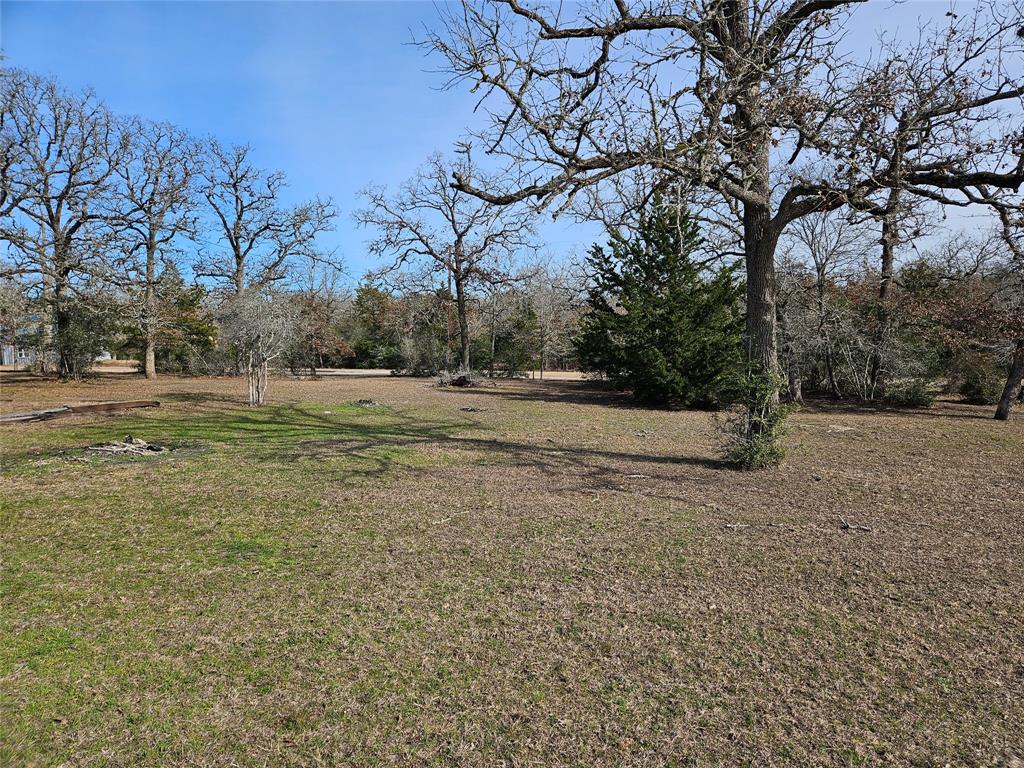 TBD Apache Drive Street  , Somerville, Texas image 6