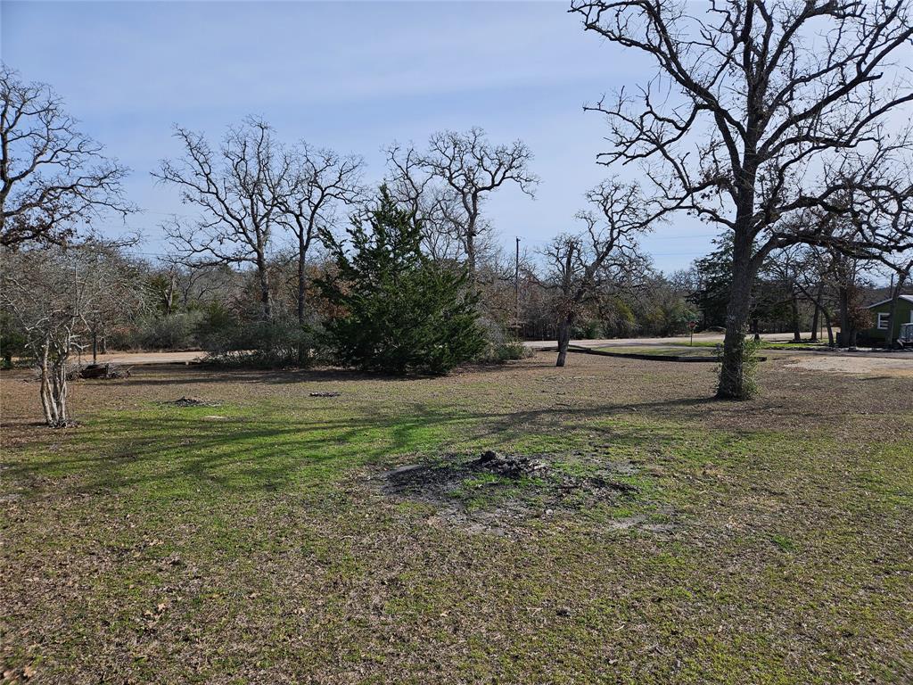 TBD Apache Drive Street  , Somerville, Texas image 8