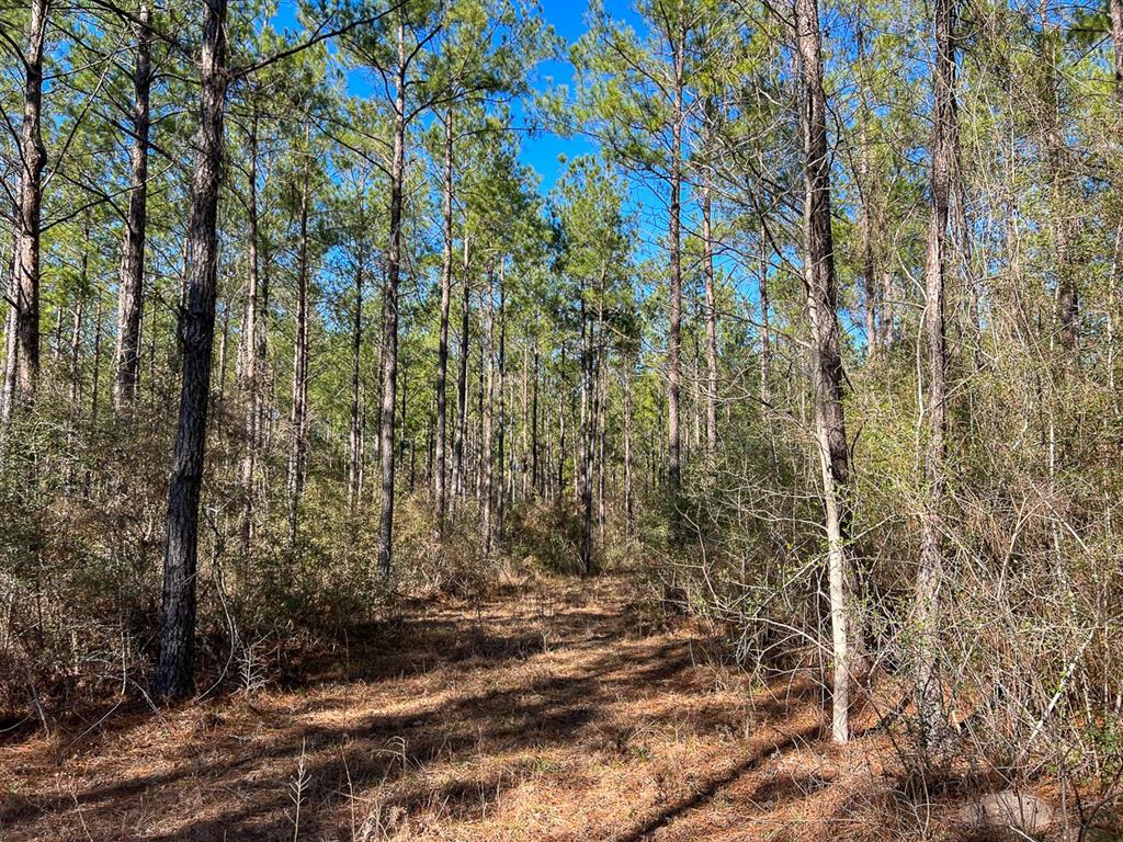 0001 Fm 352  , Corrigan, Texas image 9