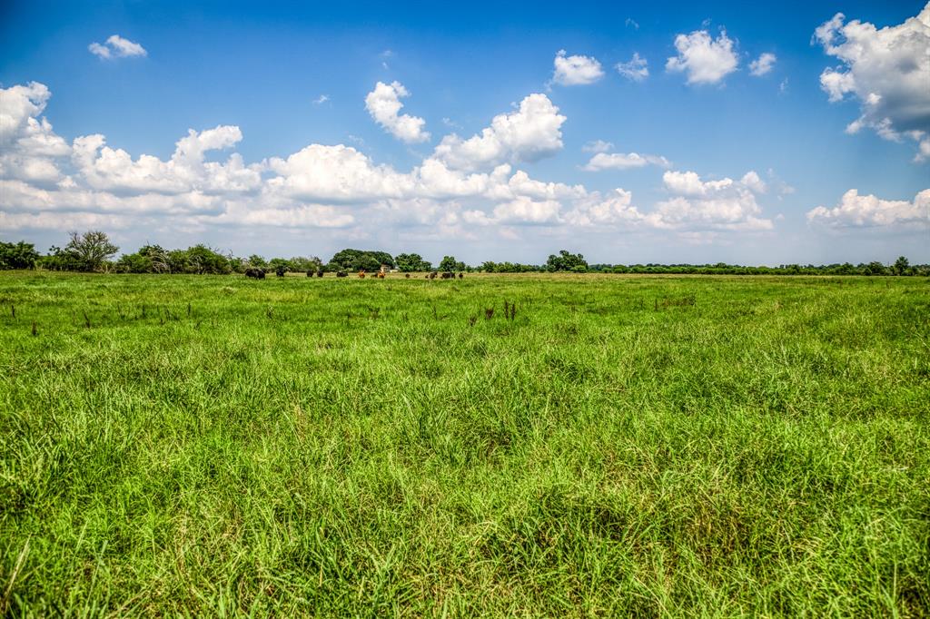 00000 Flat Prairie Road , Washington, Texas image 12