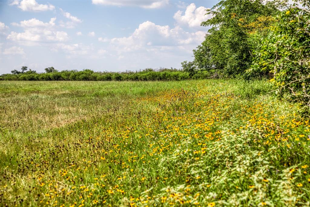 00000 Flat Prairie Road , Washington, Texas image 15