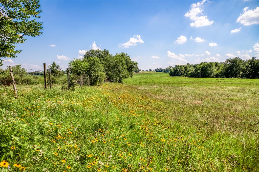 00000 Flat Prairie Road , Washington, Texas image 17