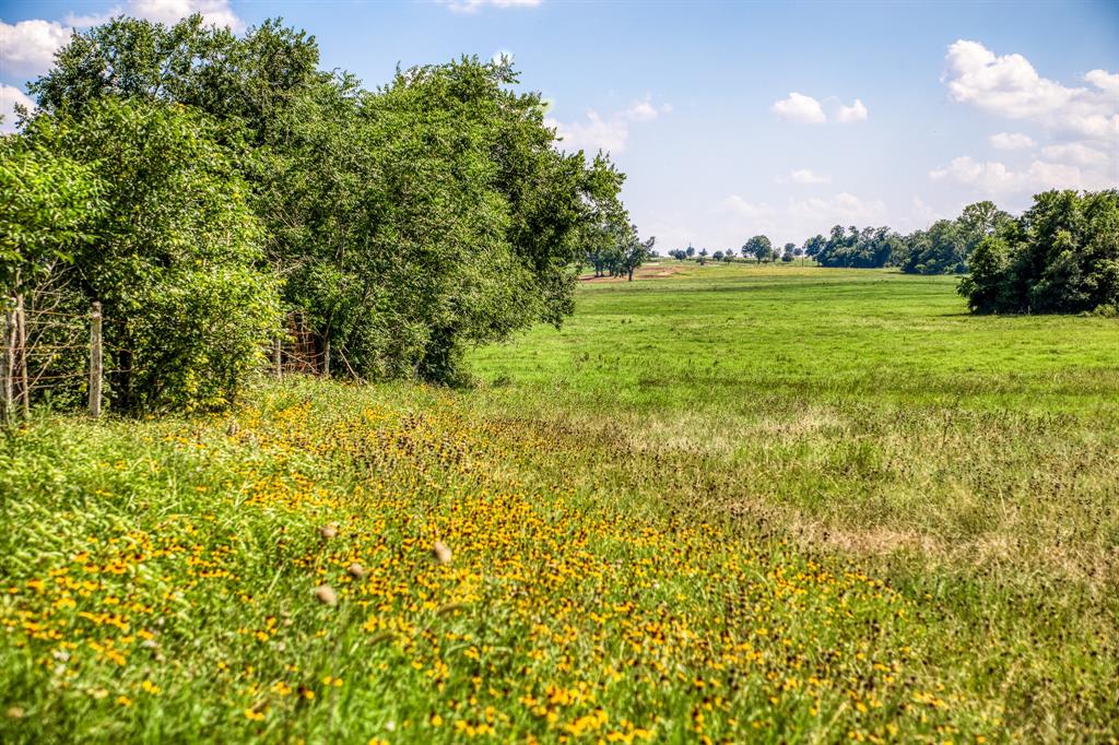 00000 Flat Prairie Road , Washington, Texas image 18