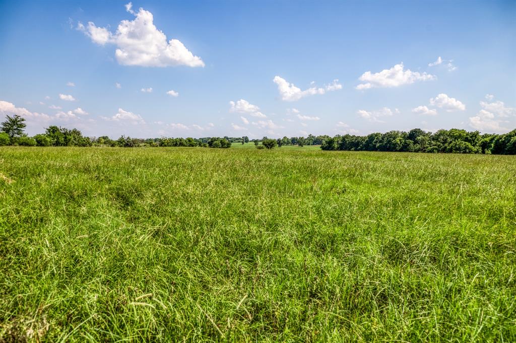 00000 Flat Prairie Road , Washington, Texas image 22