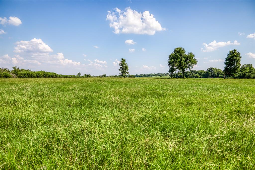 00000 Flat Prairie Road , Washington, Texas image 23