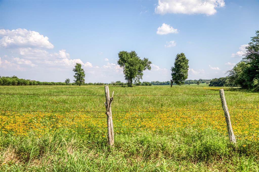 00000 Flat Prairie Road , Washington, Texas image 25