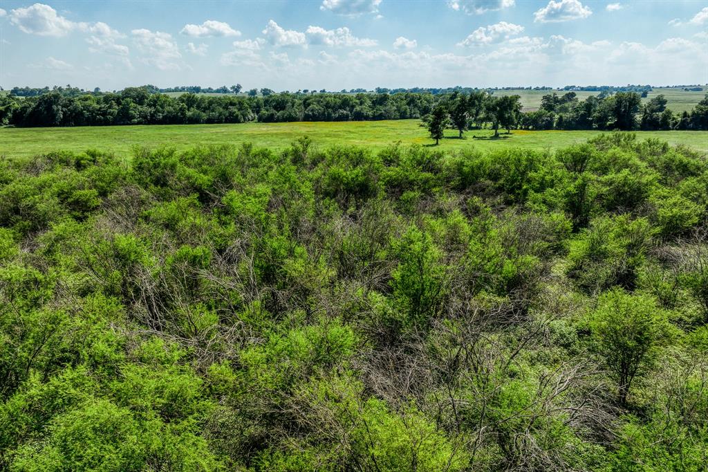 00000 Flat Prairie Road , Washington, Texas image 38