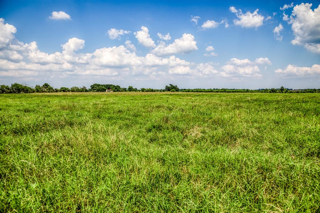 00000 Flat Prairie Road , Washington, Texas image 8