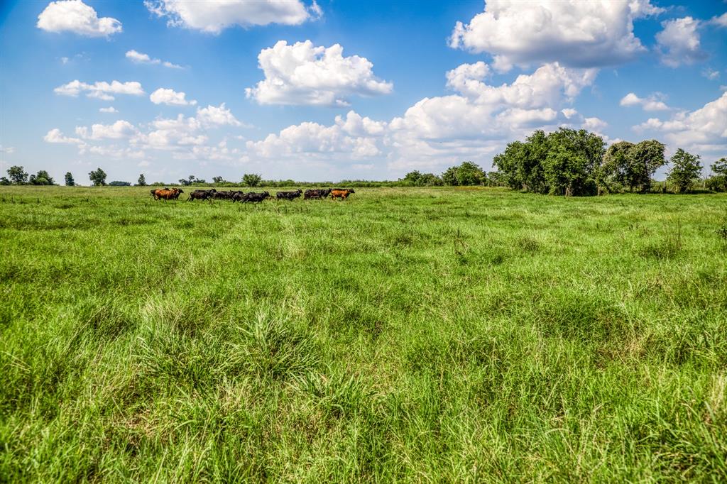 00000 Flat Prairie Road , Washington, Texas image 10