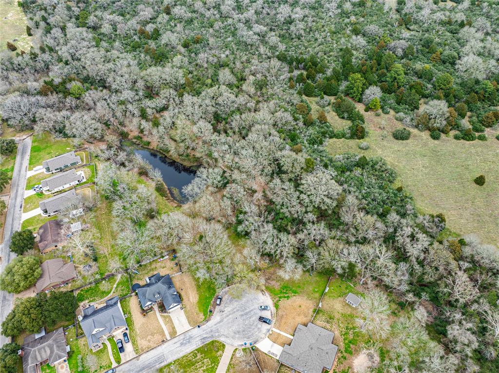 143 Wild Phlox  , Bellville, Texas image 11