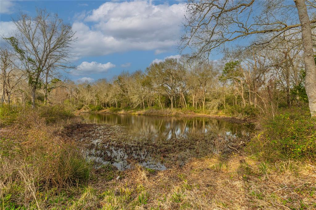 A great pond in your backyard.