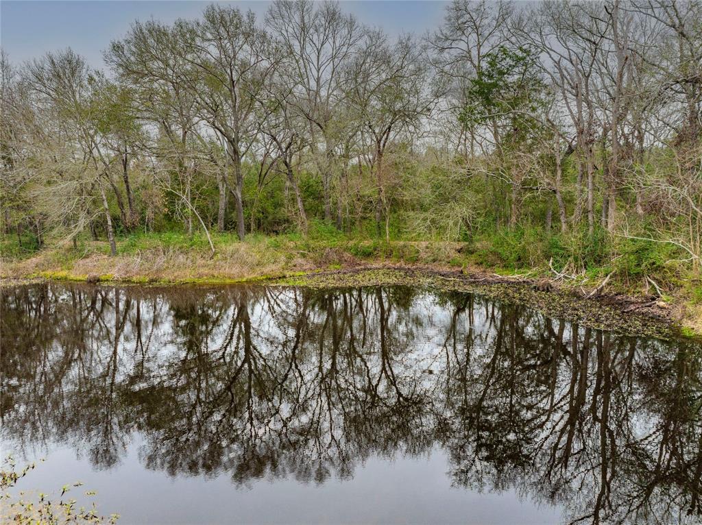 143 Wild Phlox  , Bellville, Texas image 7