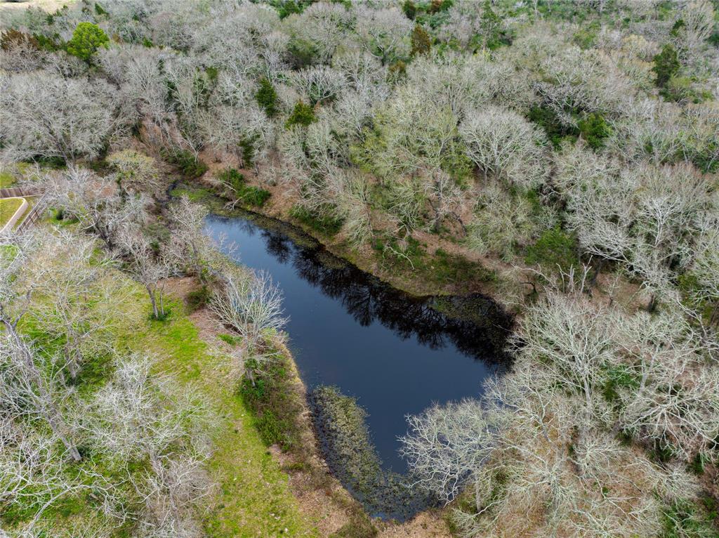 143 Wild Phlox  , Bellville, Texas image 9