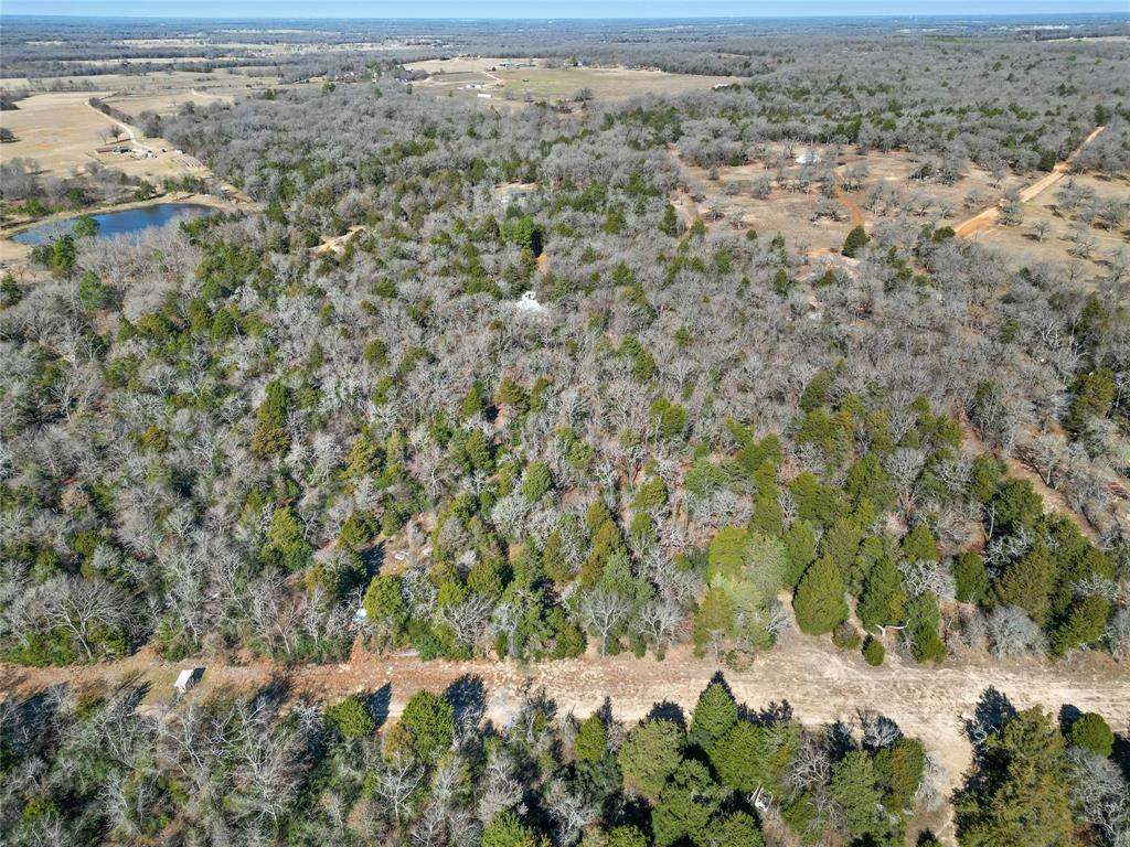 13221 Private Road 5104  , Athens, Texas image 9