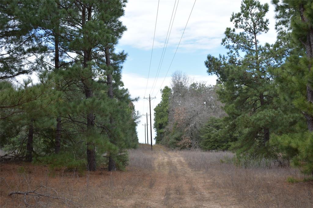 170 Fcr 290  , Oakwood, Texas image 28