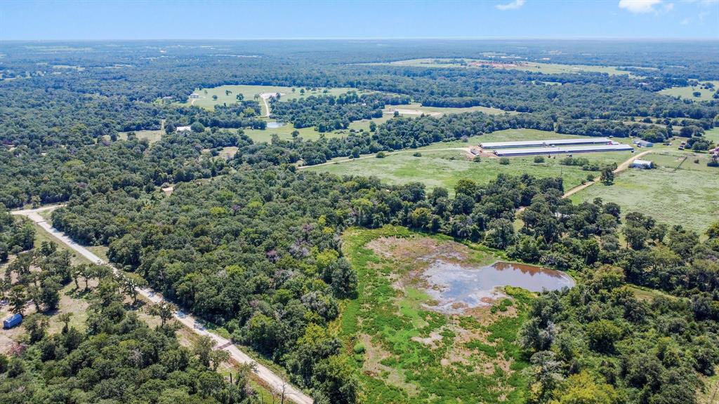 Michulka Lane , Franklin, Texas image 14