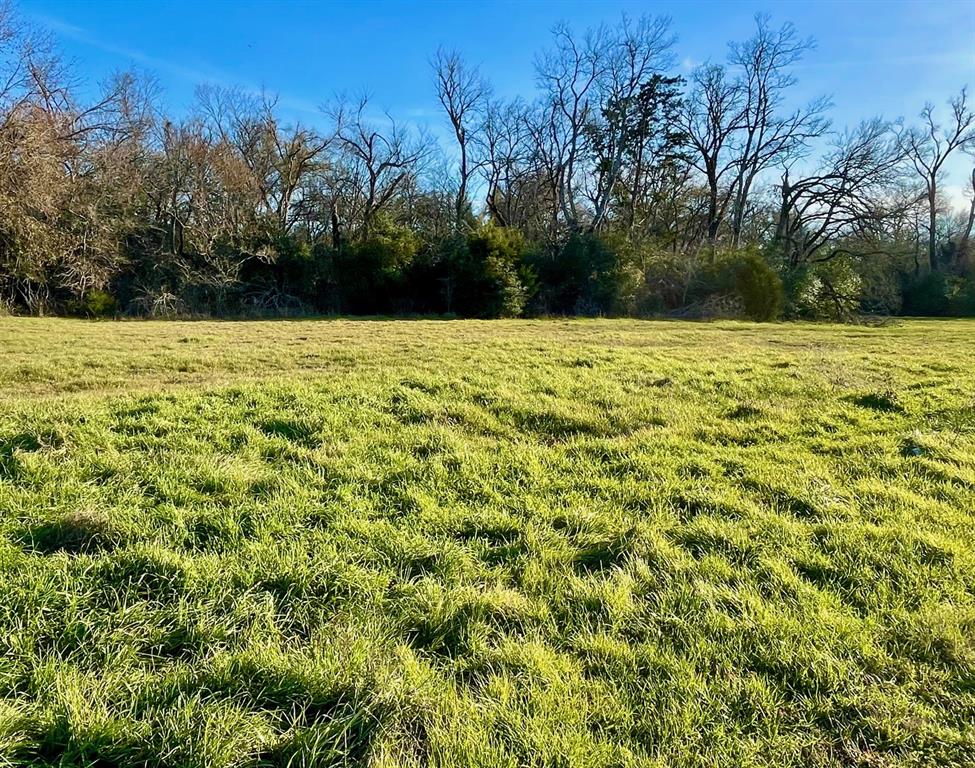 315 Dewey Lane , Franklin, Texas image 7