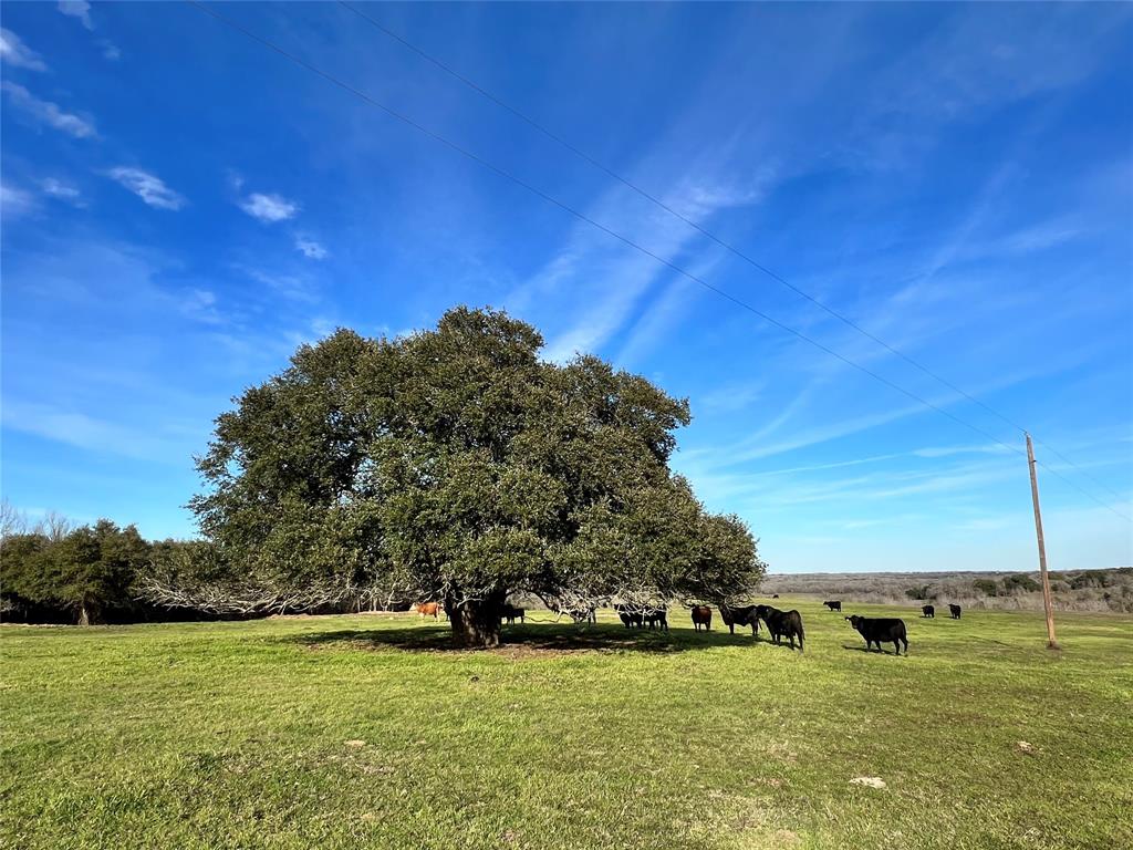 Approximately 32 ag-exempt acres in the peaceful Wesley community of Washington County. This stunning, hilltop property overlooking the East Mill Creek river bottom is dotted with mature live oaks and has several great build sites for your new primary residence or weekend getaway. Located about 10 miles from all the attractions and conveniences of Brenham, and only 20 miles to Round Top.  Electric available and paved road frontage. Pipelines crossing the property. Seller to retain all mineral rights and waive all surface rights.