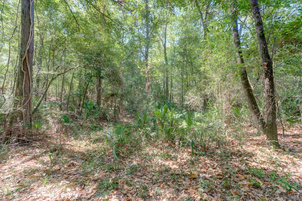 30 Disher Circle , Huffman, Texas image 9