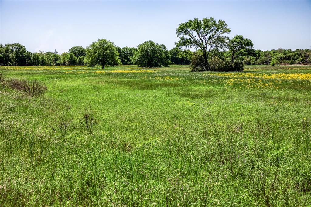 4448 County Road 430  , Dime Box, Texas image 11