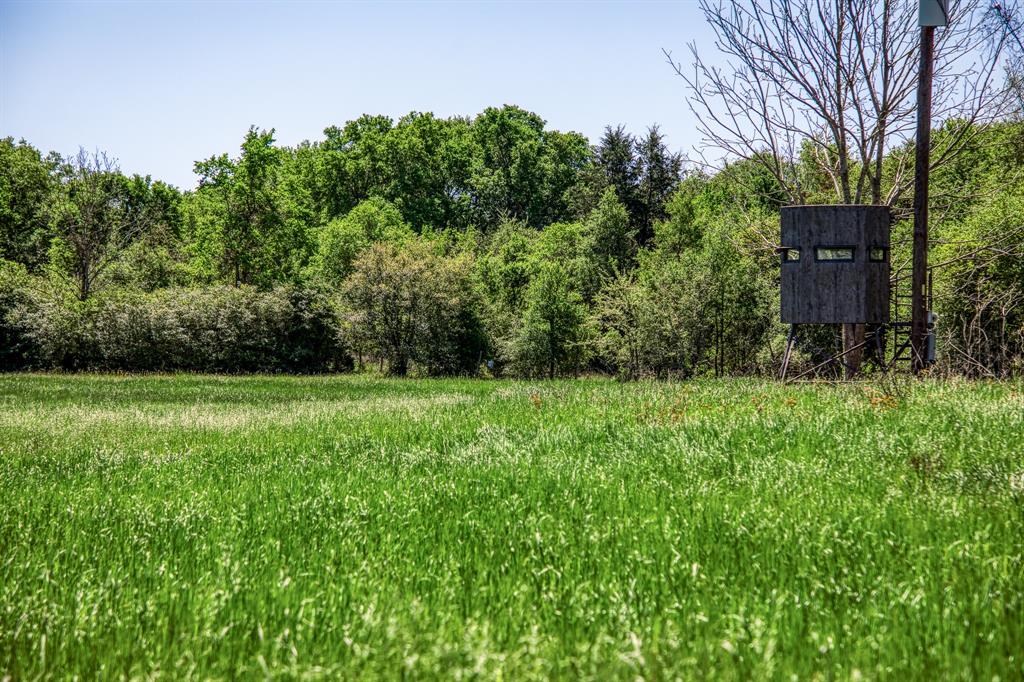 4448 County Road 430  , Dime Box, Texas image 12