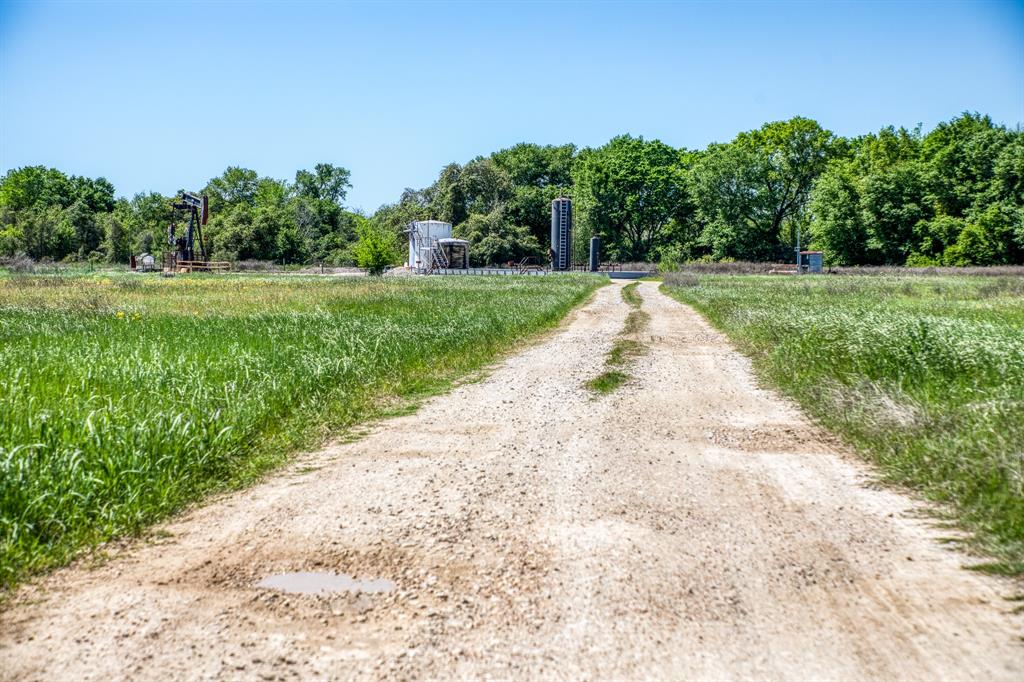 4448 County Road 430  , Dime Box, Texas image 17