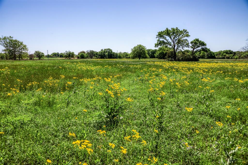 4448 County Road 430  , Dime Box, Texas image 4