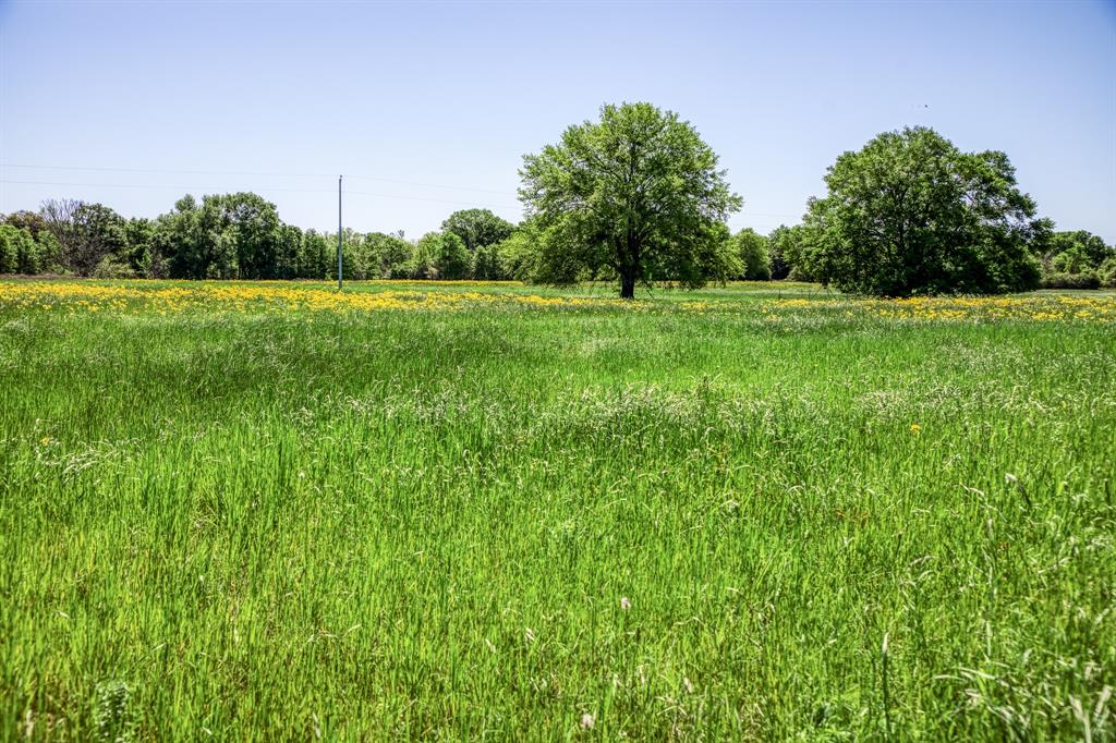 4448 County Road 430  , Dime Box, Texas image 6