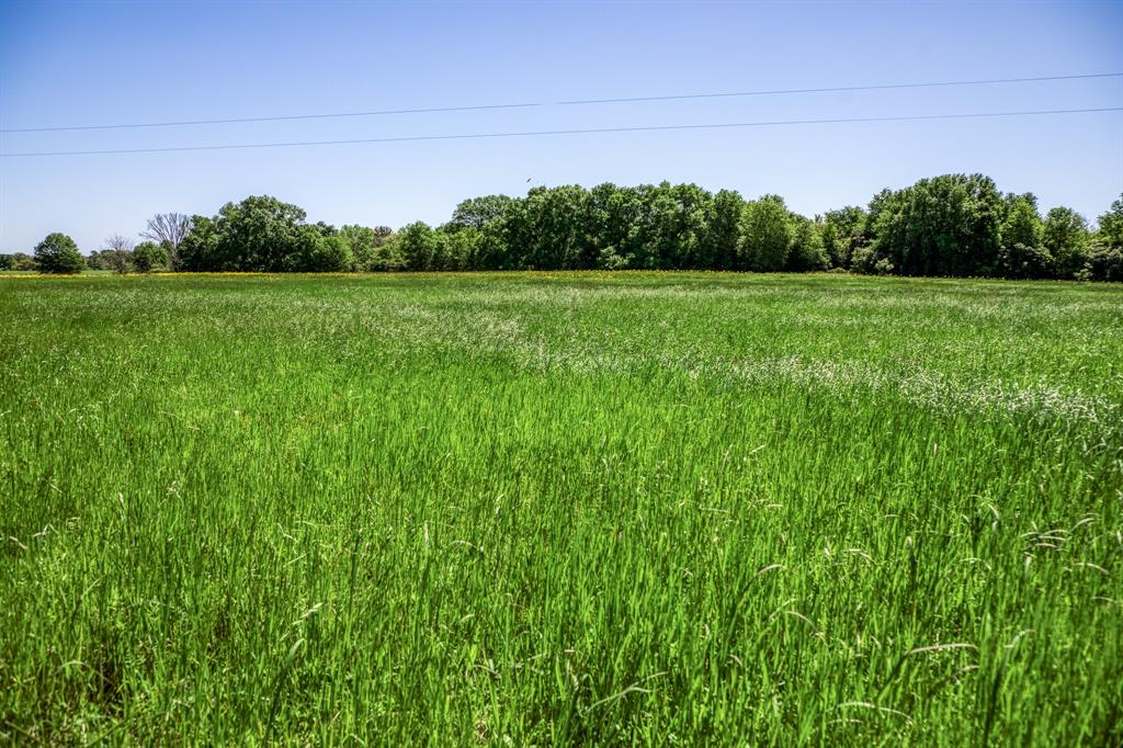 4448 County Road 430  , Dime Box, Texas image 7