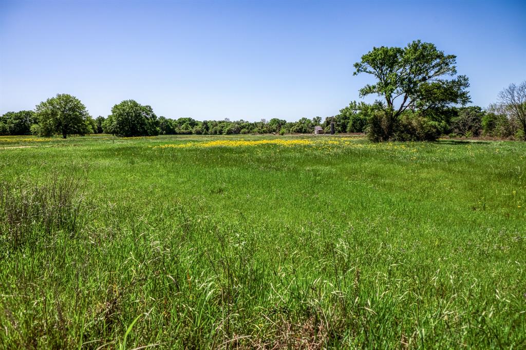 4448 County Road 430  , Dime Box, Texas image 8