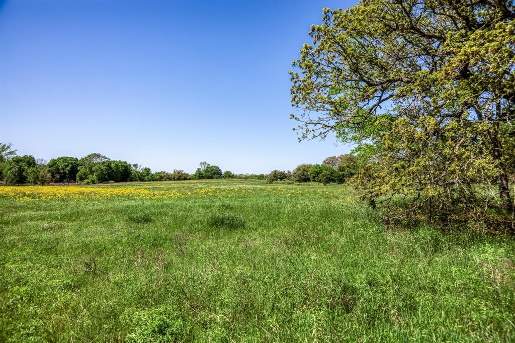 4448 County Road 430  , Dime Box, Texas image 10