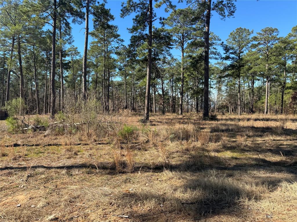 TBD Pr 6028  , Brookeland, Texas image 7