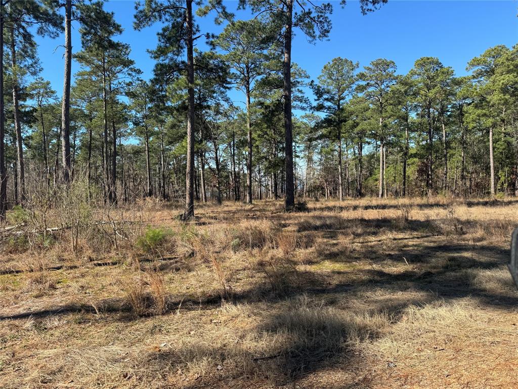 TBD Pr 6028  , Brookeland, Texas image 9