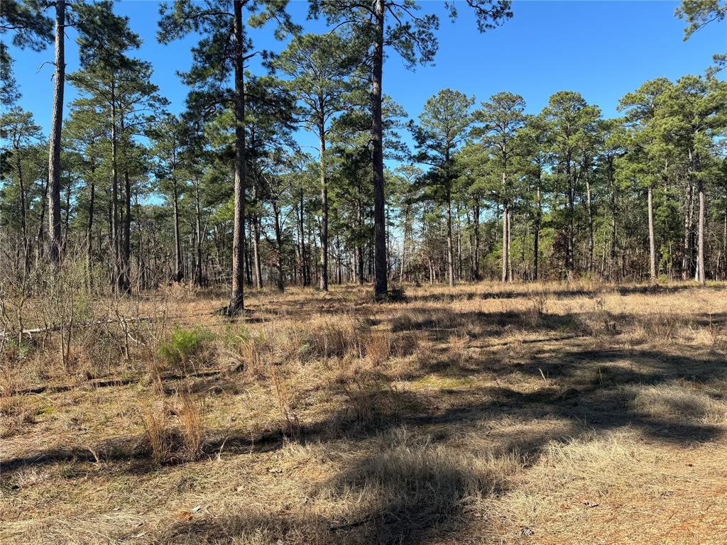 TBD Pr 6028  , Brookeland, Texas image 10