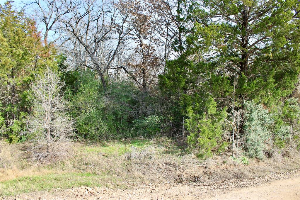 On the corner of Post Oak Road and CR 304, 15 Ag-exempt acres of untouched, wooded land featuring a gentle roll with multiple building spots where you decide how much seclusion and privacy you want! 
The property is centrally located in an area that still feels rural with an abundance of trees, vegetation and wildlife but also has quick and easy access to city amenities that are less than an hour away in Austin and the Tesla site, 
just 30 minutes from Bastrop and 20 minutes from Elgin or Taylor and the Samsung site. 
Great place to build a home or super recreational property for camping, hunting or ATVs!

**Electricity available, rural water nearby. Water well may be need for residence.**
**Survey Available**