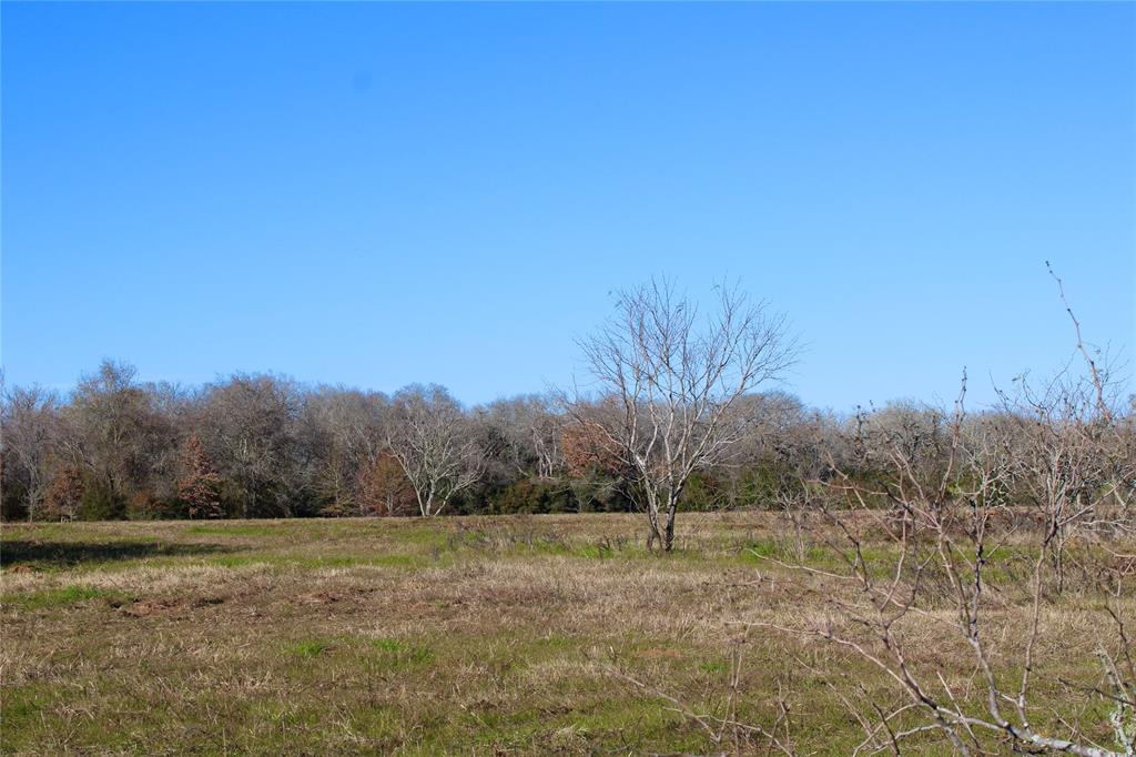 Ag-exempt and wide open with great views, 44 acres on the corner of CR 412 and PR 1206, less than 15 minutes from Lexington or Rockdale! With a country feel, but just minutes away from all the conveniences of town, this property is fenced for livestock on two sides and has been under wildlife exemption. Thigh-high, native grasses were recently shredded to give you a better look at the property that's just the right size for a nice Gentleman's Ranch, a good recreational property or a great home place. Featuring a good home site with a Northern border of neighboring trees, clusters of mid-size trees, expansive views, an electric pole on site with electricity available and ready to go! There's a livestock pond already on the property, but a water well would be needed for a home.