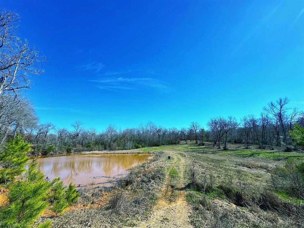 15 +/- acres (pending new survey) located in a highly sought after area, off of CR 114. This property has it all! From a ¾ of an acre pond to huge mature hard woods & pine trees, rolling terrain, and seclusion. This place is amazing in what is has to offer to the outdoor enthusiast or perfect for a future home location to raise a family in a small community in Leon County. Utilities are available at the road.