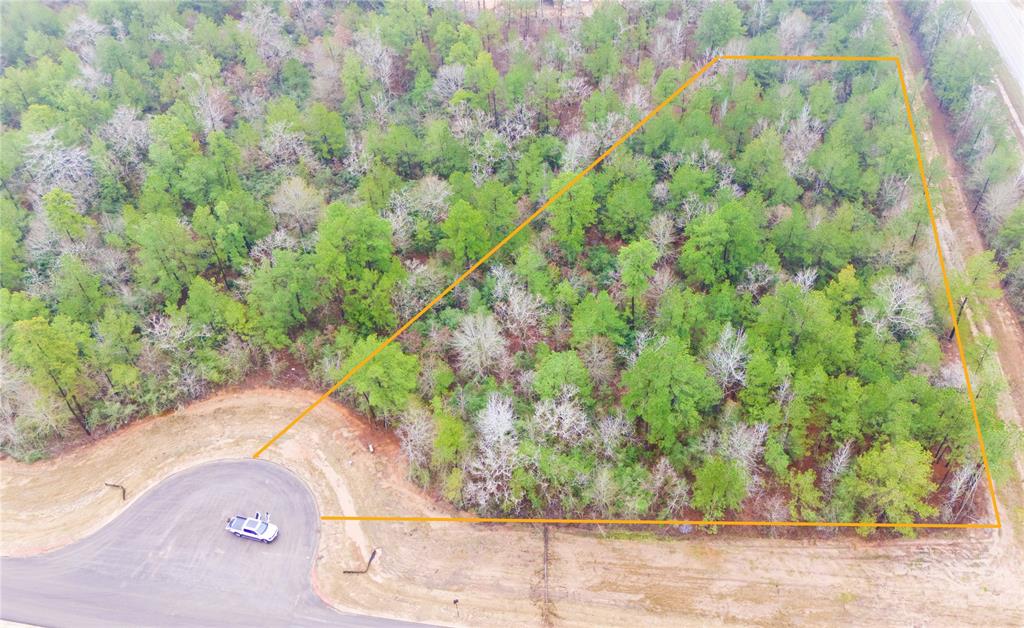 7629 Trinity Pnes Dr