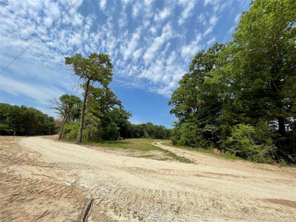 TBD Tract 11 Private Road 207, Fairfield, TX 