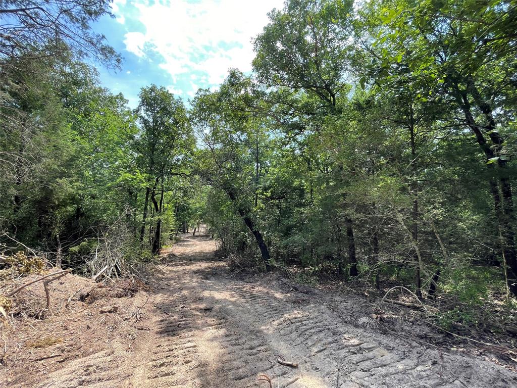 TBD Tract 11 Private Road 207  , Fairfield, Texas image 11