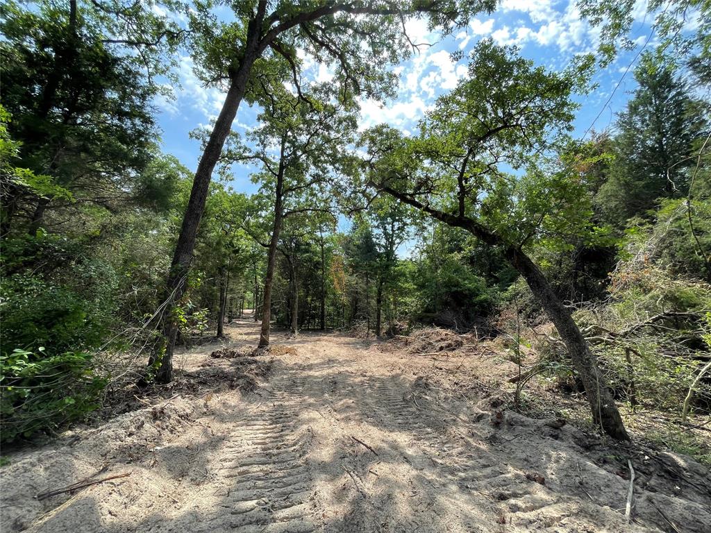 TBD Tract 11 Private Road 207  , Fairfield, Texas image 13