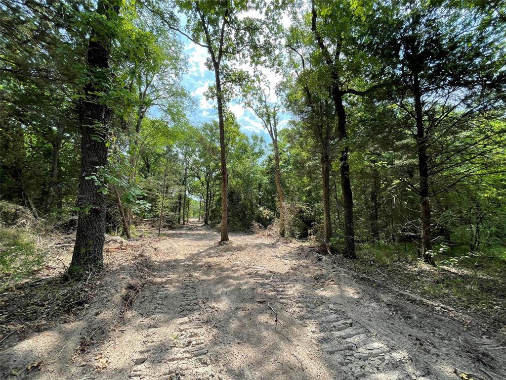 TBD Tract 11 Private Road 207  , Fairfield, Texas image 14