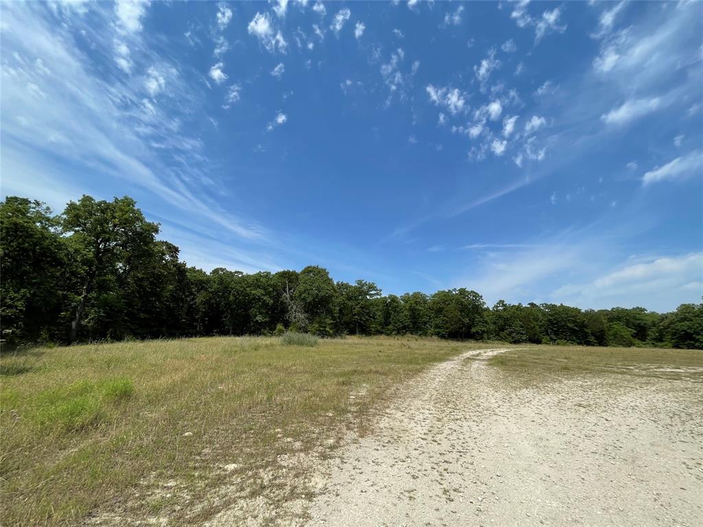 TBD Tract 11 Private Road 207  , Fairfield, Texas image 16