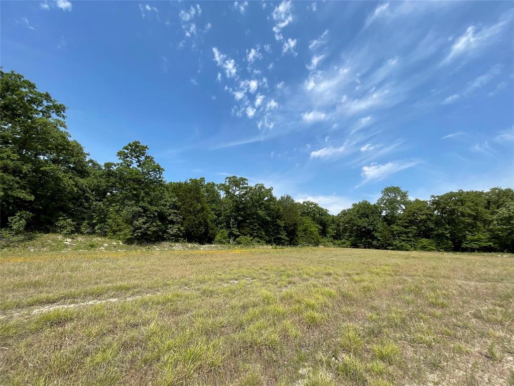 TBD Tract 11 Private Road 207  , Fairfield, Texas image 17