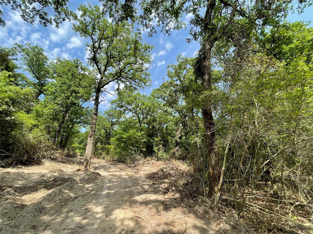 TBD Tract 11 Private Road 207  , Fairfield, Texas image 6